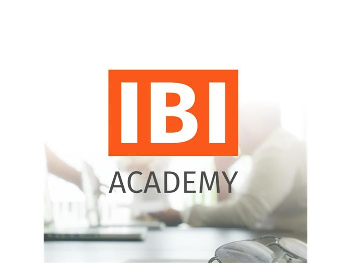 IBI - Internet Business Innovation. IBI Academy